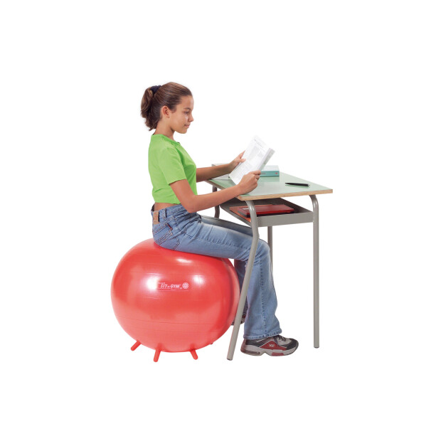 SitnGym træningsbold