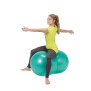 Physio Roll Plus