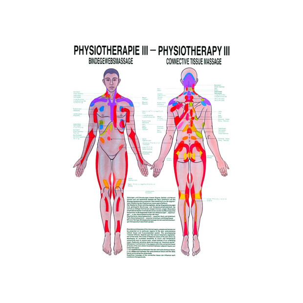 Massage af bindevæv engelsk/tysk