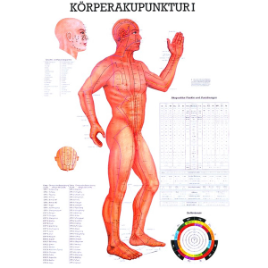 Kropsakupunktur I 70x100cm
