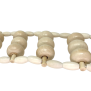 Therastar® Rygmassagerulle Classic