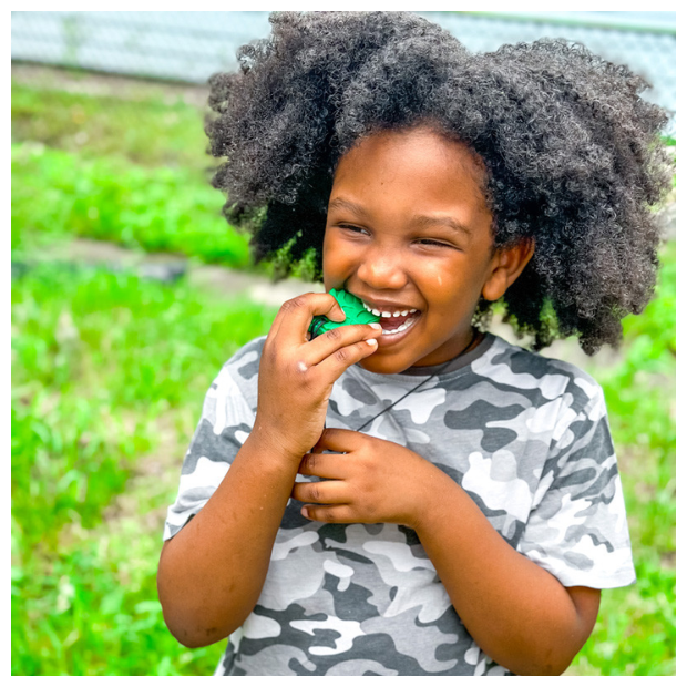 ARK tyggehalskæde Triceratops