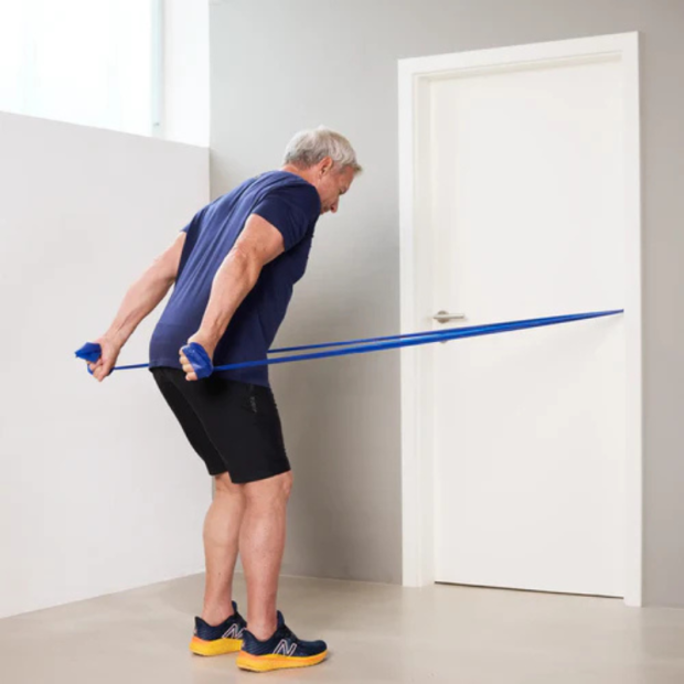 TheraBand 2,50 m inkl. dørforankringspose