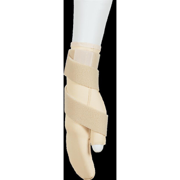CI-GLOVE Lymed