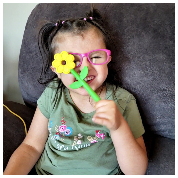 ARK Flower Wand Chewy
