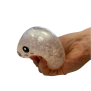 Squishy Dumpling Mystery Bun – Fidget-legetøj, 1 stk.