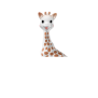 Die Giraffe